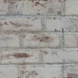 A brick slip panel of bricks that are  tumbled and partially painted white. Some of the red clay is showing through the painted slips. The panel is pointed in a mid grey mortar